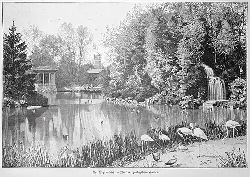 Die Gartenlaube (1888) b 633.jpg Der Neptunteich im Berliner zoologischen Garten (S)