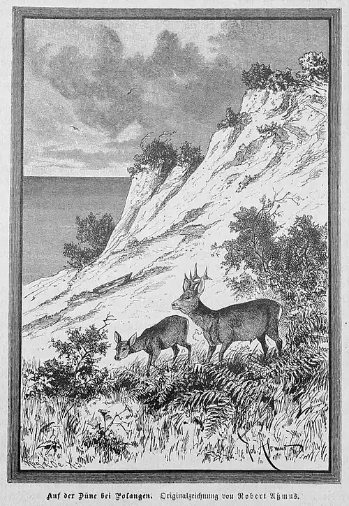 Die Gartenlaube (1888) b 725.jpg Auf der Düne bei Polangen