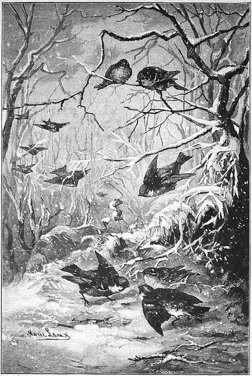 Die Gartenlaube (1889) b 029.jpg Alles verschneit. Nach dem Oelgemälde von Marie Laux