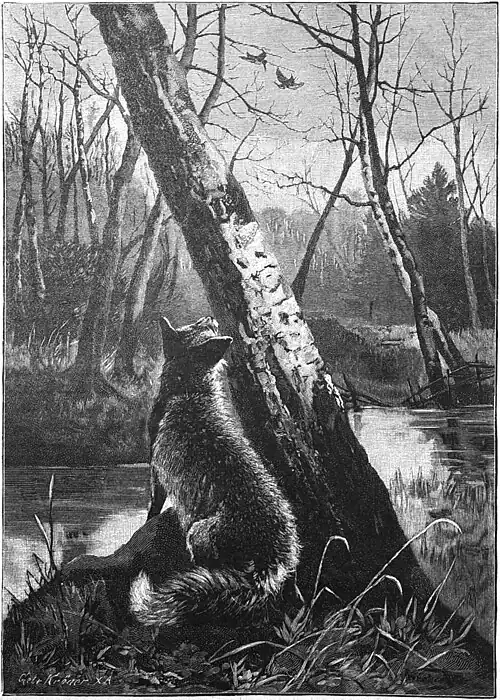 Die Gartenlaube (1889) b 221.jpg Reineke auf Schnepfenjagd