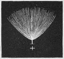 Die Gartenlaube (1890) b 031_1.jpg Positives Elmsfeuer
