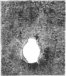 Die Gartenlaube (1890) b 161_2.jpg Einschuß des 11mm Geschosses in eine 4 mm dicke Eisenplatte