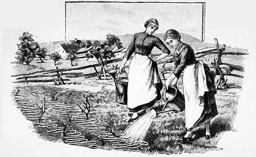 Die Gartenlaube (1890) b 638_1.jpg Naturbleiche