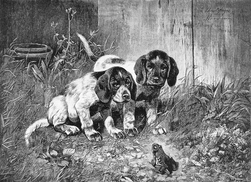 Die Gartenlaube (1890) b 693.jpg Eine Überraschung