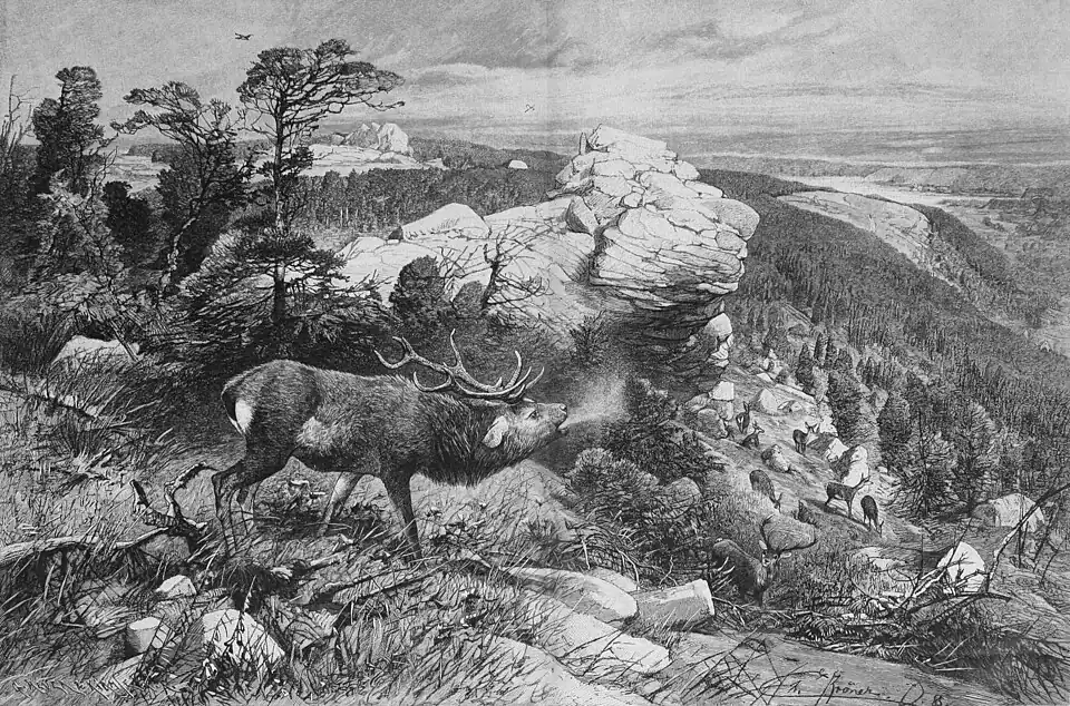Die Gartenlaube (1890) b 728.jpg An den Ahrensklinterklippen im Harz (D)