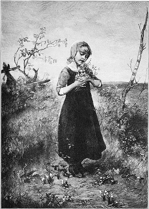 Die Gartenlaube (1891) b 340 a.jpg