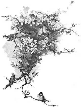 Die Gartenlaube (1891) b 449.jpg (Marie Laux)
