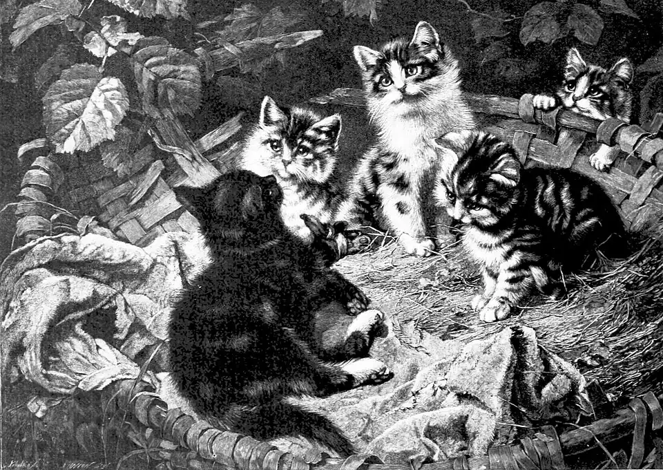 Die Gartenlaube (1892) b 061.jpg Der kleine Patient