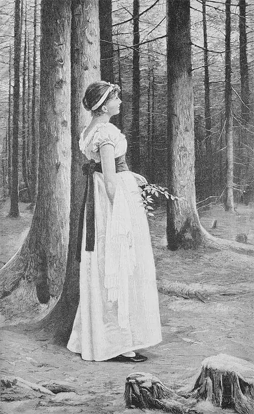 Die Gartenlaube (1892) b 369.jpg Im Tannenwald (S)