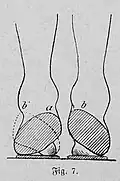 Die Gartenlaube (1892) b 479 4.jpg Figur 7