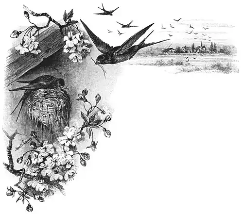 Die Gartenlaube (1892) b 509.jpg Schwalben (Marie Laux)