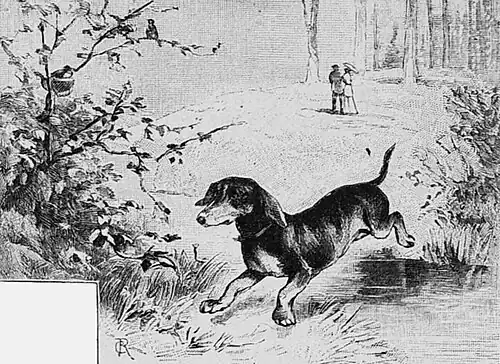 Die Gartenlaube (1892) b 889 1.jpg Stropp der Hund: Bild 3