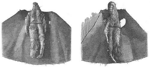 Die Gartenlaube (1893) b 029_1.jpg Zwei Alraunenwurzelnen mit ihren Gewändern aus dem besitze Kaiser Rudolphs II.