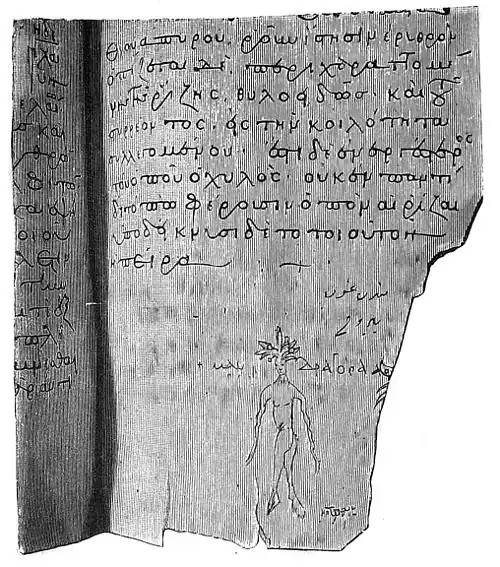 Die Gartenlaube (1893) b 030_1.jpg Zeichnung einer Mandragorapflanze in dem Codex Byzantinus der Wiener Hofbibliothek