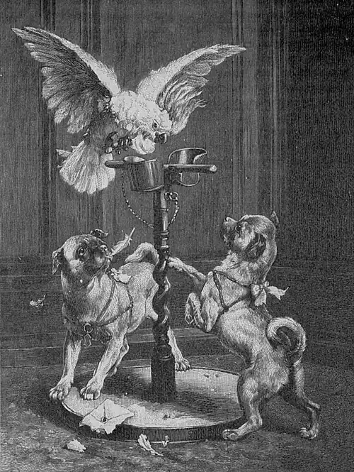Die Gartenlaube (1893) b 044.jpg Wie du mir...