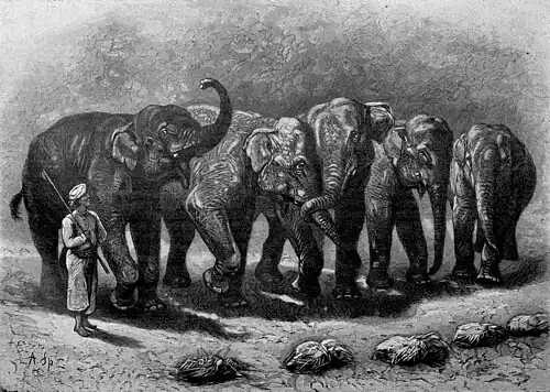 Die Gartenlaube (1893) b 101.jpg Vor dem Kommando „Friß!“ Originalzeichnung von A. Specht.