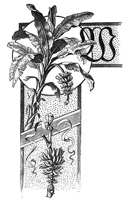 Die Gartenlaube (1893) b 218.jpg