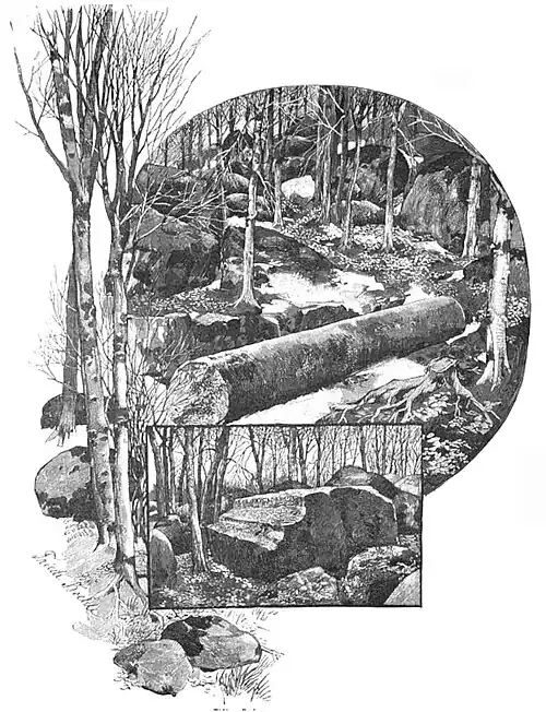Die Gartenlaube (1893) b 333.jpg Riesensäule und Altarstein