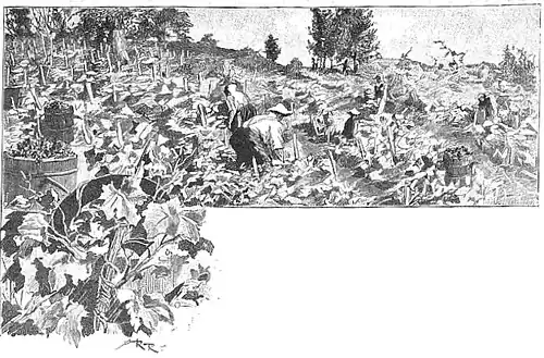 Die Gartenlaube (1893) b 444.jpg Herr Philipp Ardinger: Bild 1