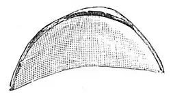 Die Gartenlaube (1893) b 474_3.jpg Figur 4.
