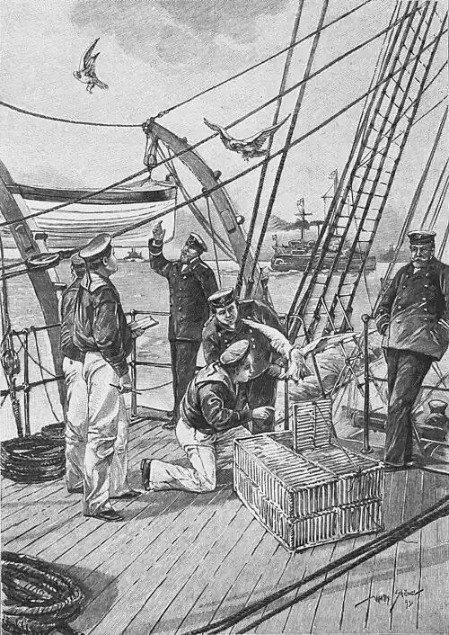 Die Gartenlaube (1893) b 873.jpg Brieftaubendienst auf hoher See. Nach einer Originalzeichnung von Willy Stöwer