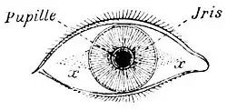 Die Gartenlaube (1894) b 559.jpg Fig. 1.