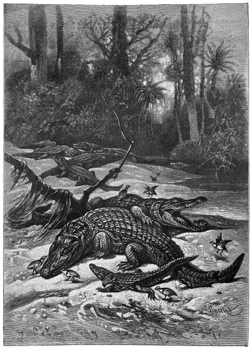 Die Gartenlaube (1894) b 577.jpg Krokodile und Krokodilwächter. Nach einer Originalzeichnung von F. Specht (S)