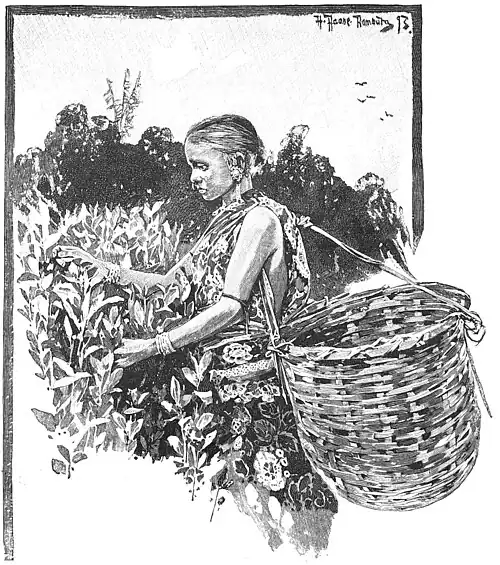 Die Gartenlaube (1894) b 656_2.jpg Inderin bei der Ernte