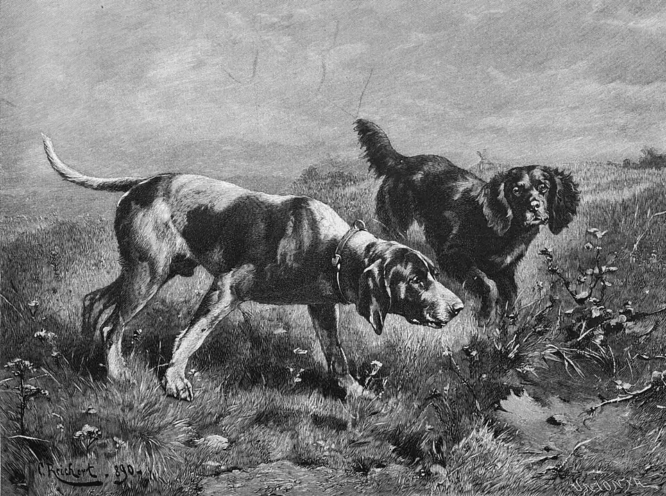 Die Gartenlaube (1895)_b_581.jpg Auf dem „Gefährt“