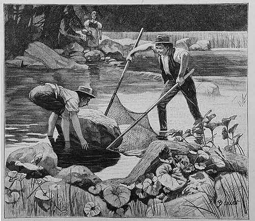 Die Gartenlaube (1895)_b_645_2.jpg Fang mit dem Handnetz