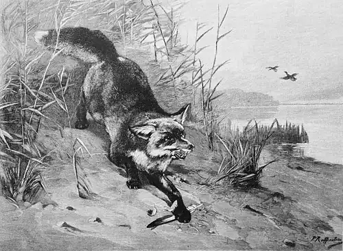 Die Gartenlaube (1895)_b_669.jpg Entwischt!