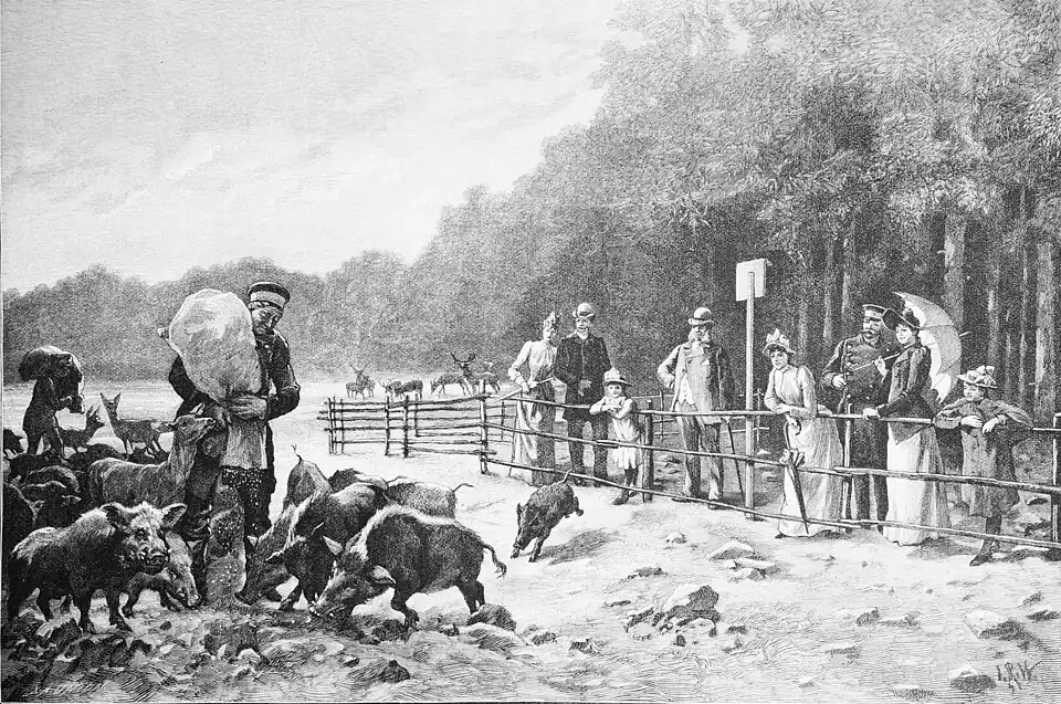 Die Gartenlaube (1895)_b_737.jpg Wildfütterung im königlichen Tiergarten zu Moritzburg (S)