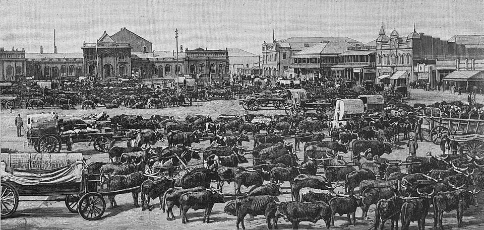 File:Die Gartenlaube (1896) b 0068 a 2.jpg Der Marktplatz von Johannesburg in Transvaal