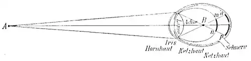 File:Die Gartenlaube (1896) b 0864_4.jpg Fig. 4.