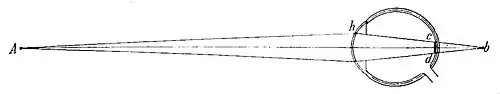 File:Die Gartenlaube (1896) b 0868_1.jpg Fig. 12.