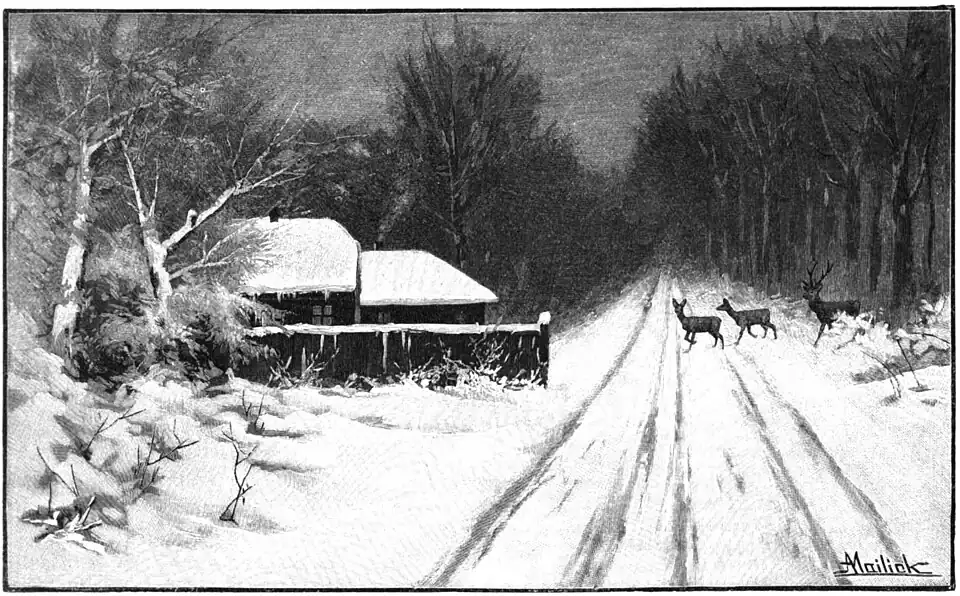 File:Die Gartenlaube (1898) b 0053.jpg Wintermorgen im Walde Nach einer Originalzeichnung von A. Mailick