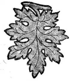 File:Die Gartenlaube (1898) b 0548_a_3.jpg Kleines Deckchen