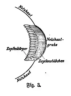 File:Die Gartenlaube (1898) b 0662_1.jpg Fig. 3.