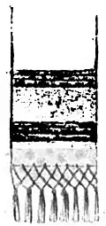 File:Die Gartenlaube (1898) b 0740_a_3.jpg Kopftuch