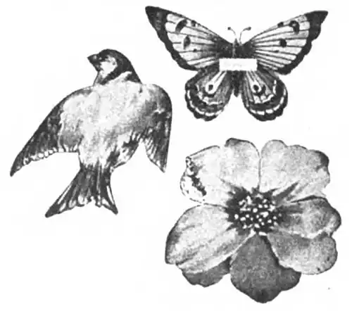 File:Die Gartenlaube (1899) b 0132_a_7.jpg Vorlagen für Tischkarten