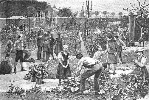 File:Die Gartenlaube (1899) b 0133.jpg Im Gemeinschaftsgarten zu Friedenau bei Berlin Nach dem Leben gezeichnet von E. Thiel