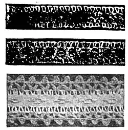 File:Die Gartenlaube (1899) b 0356_a_1.jpg Besatzbörtchen