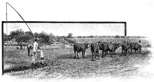File:Die Gartenlaube (1899) b 0430_1.jpg Pflügen des Berieselungsgrundes unterhalb des Staudammes auf Voigtland