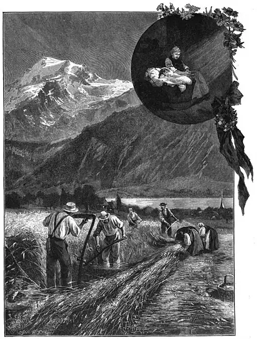File:Die Gartenlaube (1899) b 0585.jpg (S) Das Aehrenfeld der Witwe Nach einer Originalzeichnung von H. Bachmann