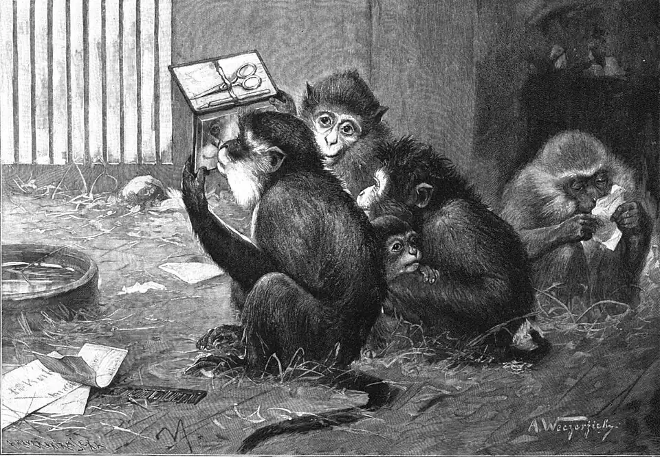File:Die Gartenlaube (1899) b 0669.jpg (S) Kulturbeleckt Nach einer Originalzeichnung von A. Weczerizick