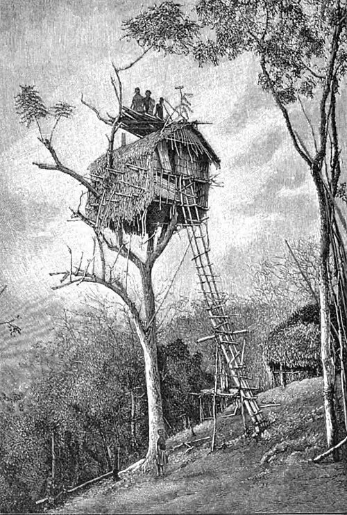 File:Die Gartenlaube (1899) b 0802_1.jpg Ein Baumhaus auf Neu-Guinea