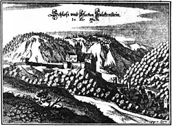 Falkenstein (Pfalz)