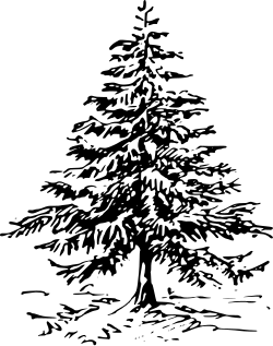 S. 1, Verzierung