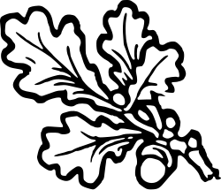 S. 16, Eichenblätter mit Eichel