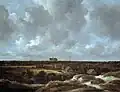 Jacob_van_Ruisdael: A View of Haarlem and Bleaching Fields (Los 74)